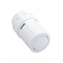 DANFOSS Термостат. элементы RAX белый RAL9016 013G6070 DANFOSS Термостат. элементы RAX белый RAL9016 013G6070