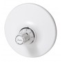 DANFOSS RTRW 7080 Термостатический элемент 013G7080 DANFOSS RTRW 7080 Термостатический элемент 013G7080