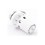 DANFOSS RLV-KB 20 + RTRW-K, 3/4 Прямой(пр. класс 0303910569) 013G7233 DANFOSS RLV-KB 20 + RTRW-K, 3/4 Прямой(пр. класс 0303910569) 013G7233